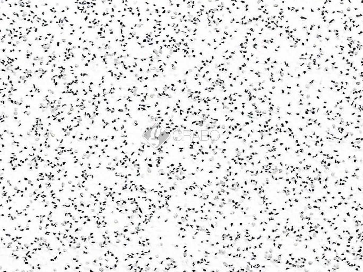 Дизайн - SAFETY FLOOR 1137-20-279